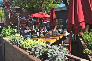 Edible-Canada-patio-tim-pawsey